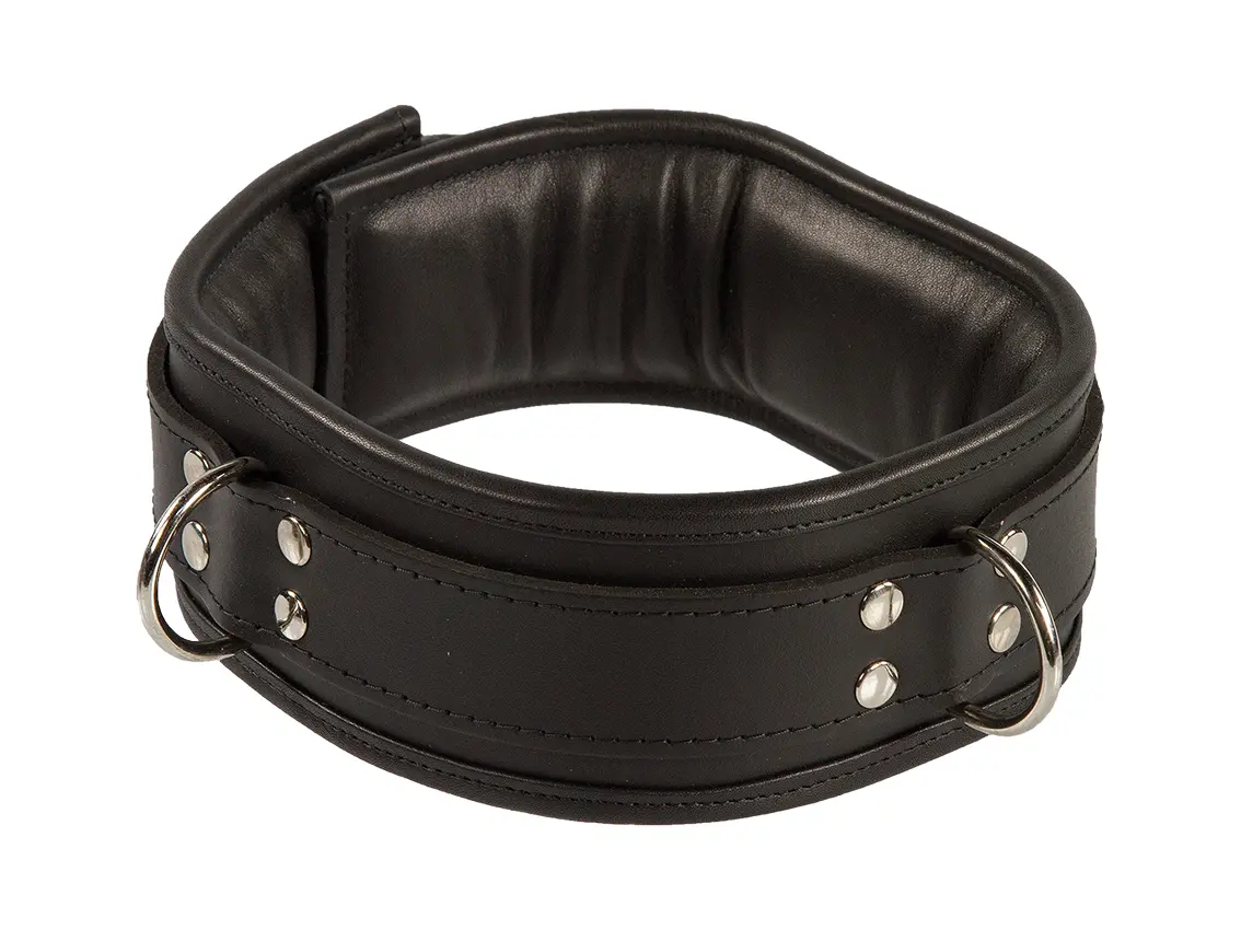 Gepolstertes schwarzes aus Echtleder bestehendes Halsband mit Metallteilen