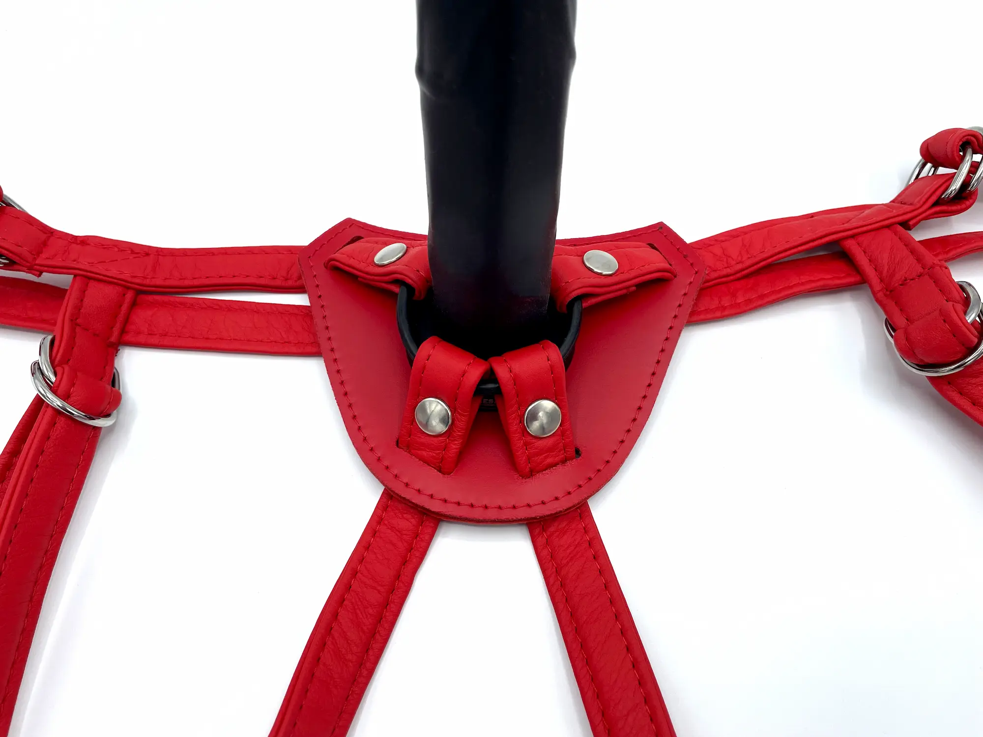Roter Strap-on-Harness aus Leder mit O-Ring-Halterung und vier Druckknopf-Schlaufen, bestückt mit schwarzem Dildo